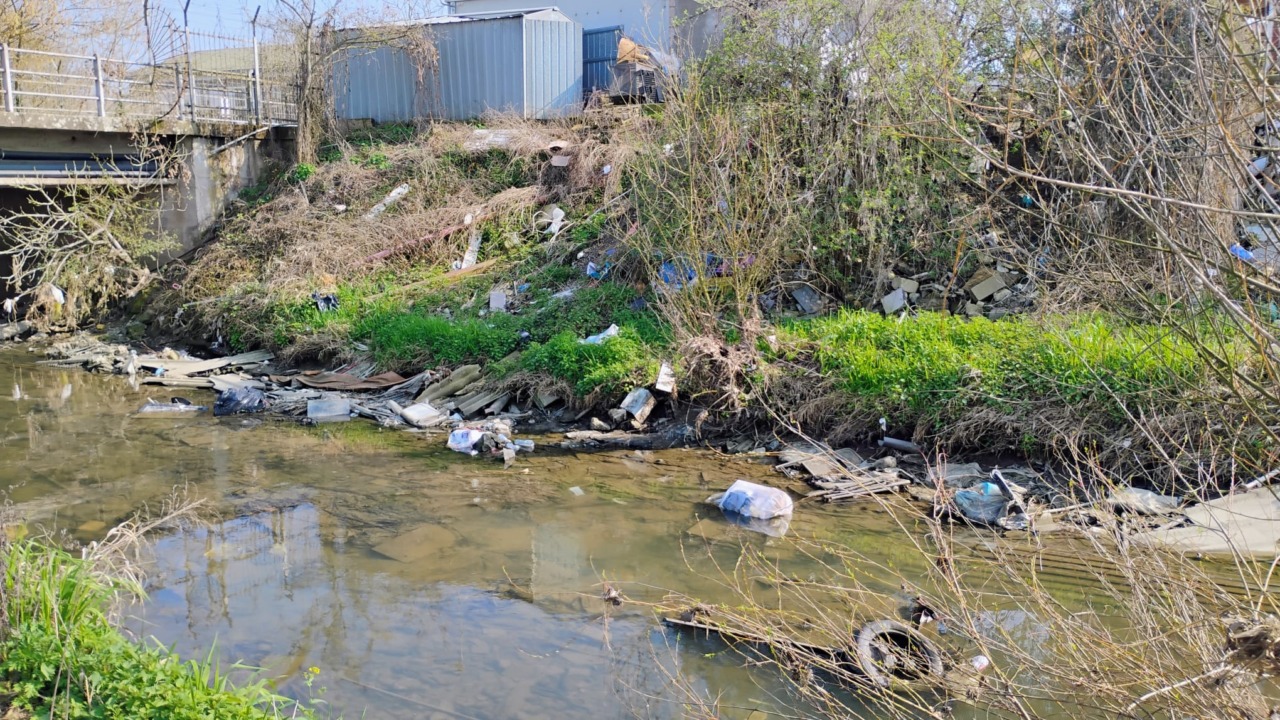 Il Cervetto trasformato in discarica abusiva: un disastro ecologico in via Trento