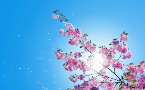 Sole e temperature miti per l’inizio settimana a Vercelli e nella Bassa