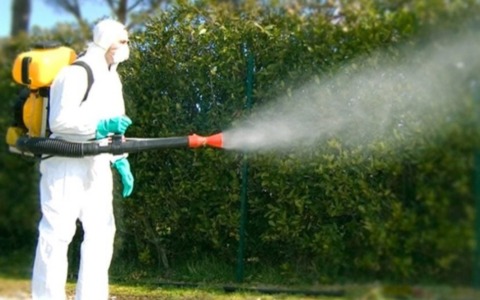 Vercelli sotto i riflettori: diserbanti in città