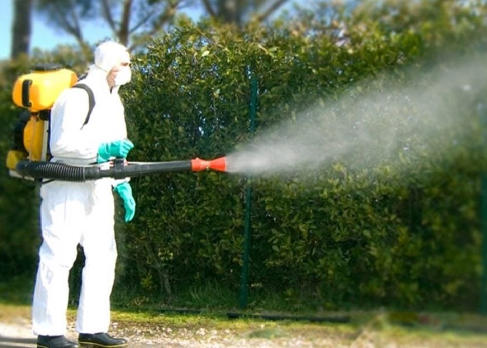 Vercelli sotto i riflettori: diserbanti in città