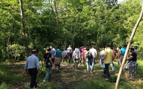 Workshop e camminata al Bosco della Partecipanza il 11 e 12 aprile