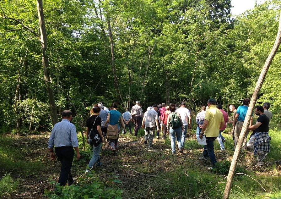 Workshop e camminata al Bosco della Partecipanza il 11 e 12 aprile