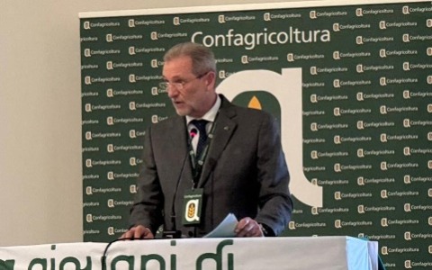 Confagricoltura Vercelli-Biella: l’Europa minaccia la risicoltura italiana