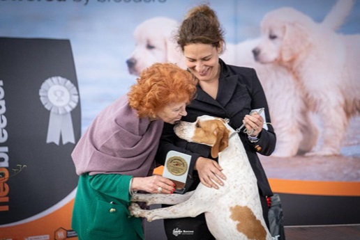 Domenica Borgo d’Ale ospita le Verifiche Zootecniche Nazionali per cani di razza