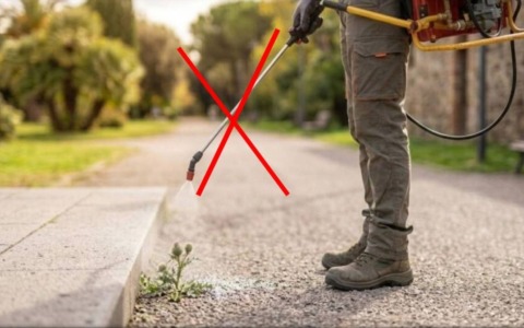 Iniziativa per bandire i diserbanti chimici a Vercelli