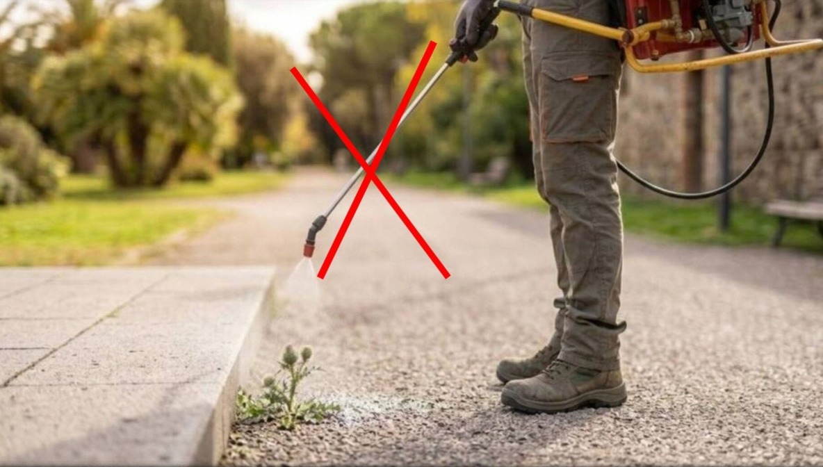 Iniziativa per bandire i diserbanti chimici a Vercelli