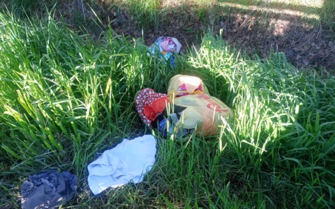 Rifiuti abbandonati nel canale di corso Salamano