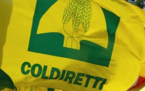 Coldiretti Vercelli-Biella: un passo cruciale per il florovivaismo