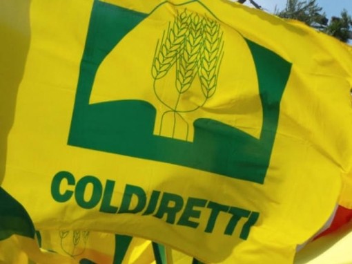 Coldiretti Vercelli-Biella: un passo cruciale per il florovivaismo
