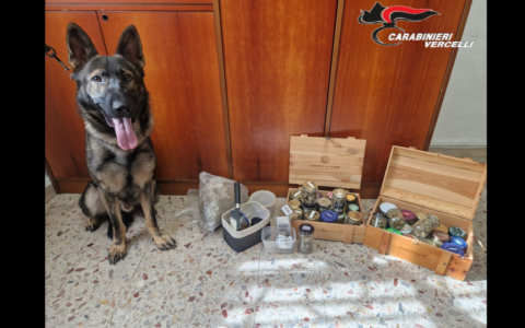 Cinquantenne incensurato fermato con oltre 1,4 kg di droga dai Carabinieri