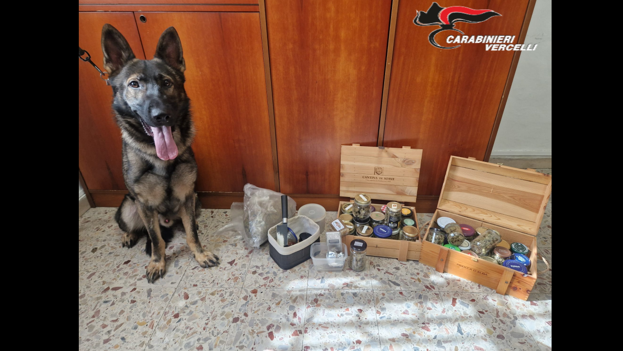 Cinquantenne incensurato fermato con oltre 1,4 kg di droga dai Carabinieri