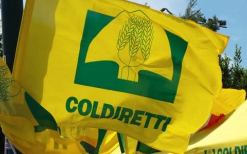 Coldiretti Vercelli-Biella: “Anticipi Pac, un aiuto per le imprese agricole”