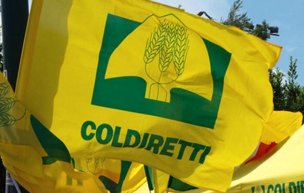Coldiretti Vercelli-Biella: Necessari invasi per garantire acqua a cittadini e agricoltura
