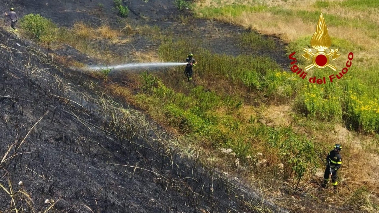 Fiamme di sterpaglie al casello Vercelli Ovest: intervento dei Vigili del Fuoco