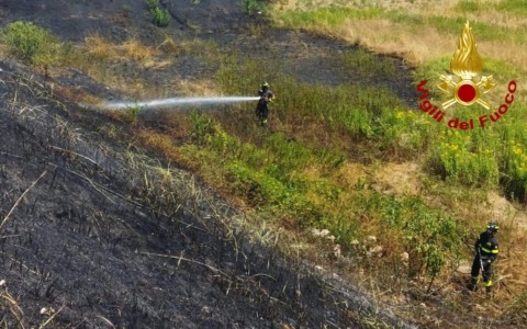 Fiamme di sterpaglie al casello Vercelli Ovest: intervento dei Vigili del Fuoco