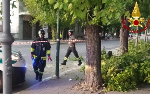 Forte vento provoca caduta di rami in corso Gastaldi: Vigili del Fuoco in azione