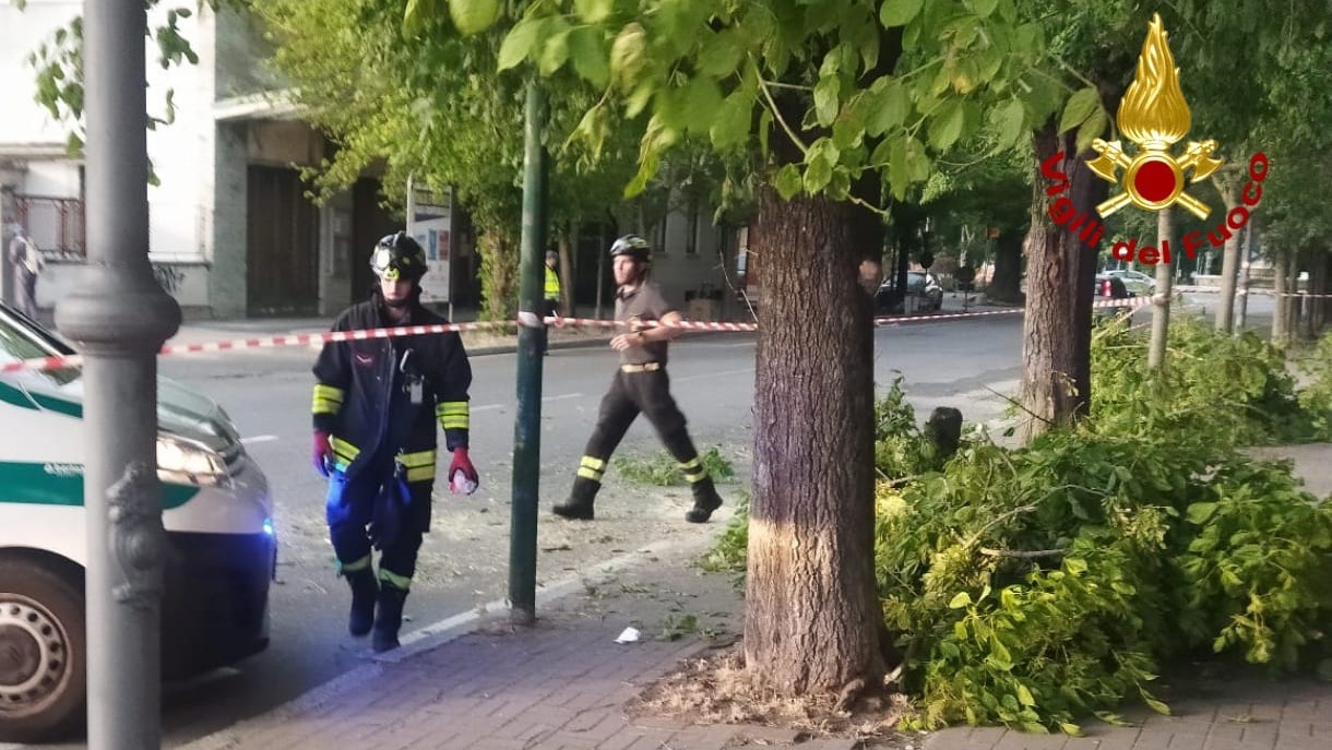 Forte vento provoca caduta di rami in corso Gastaldi: Vigili del Fuoco in azione